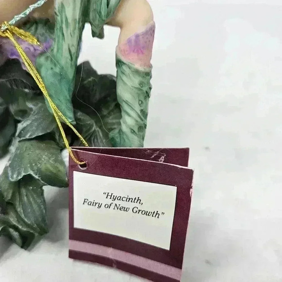 Hyacinth fairy of new growth - Picture 3 of 7